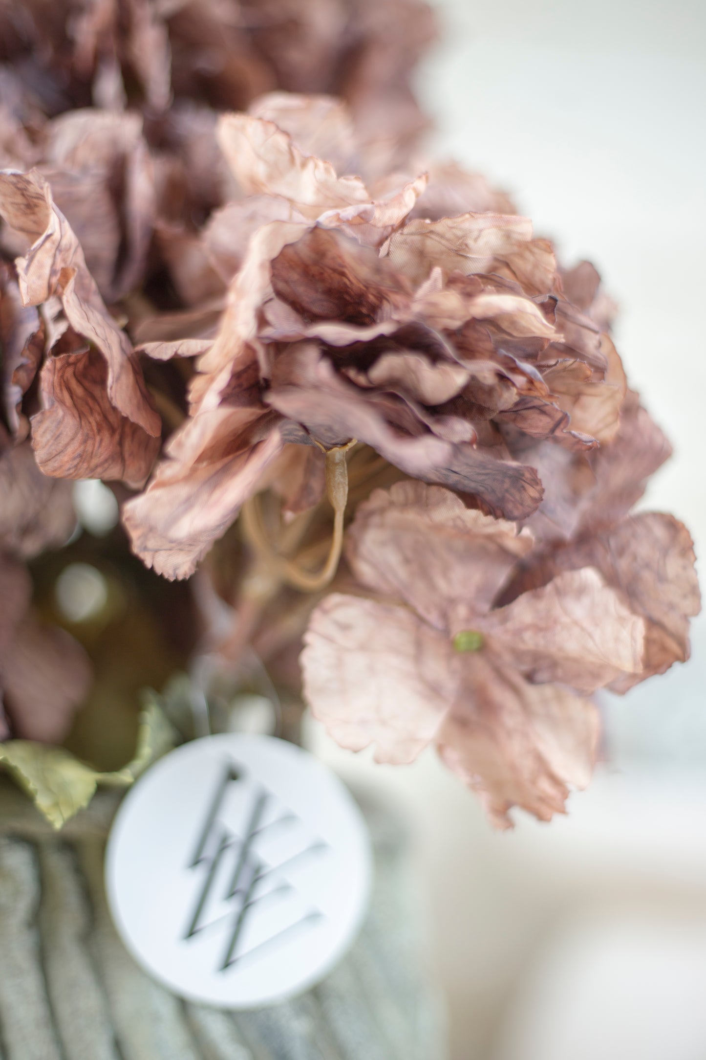 Woodland Hydrangea Collection