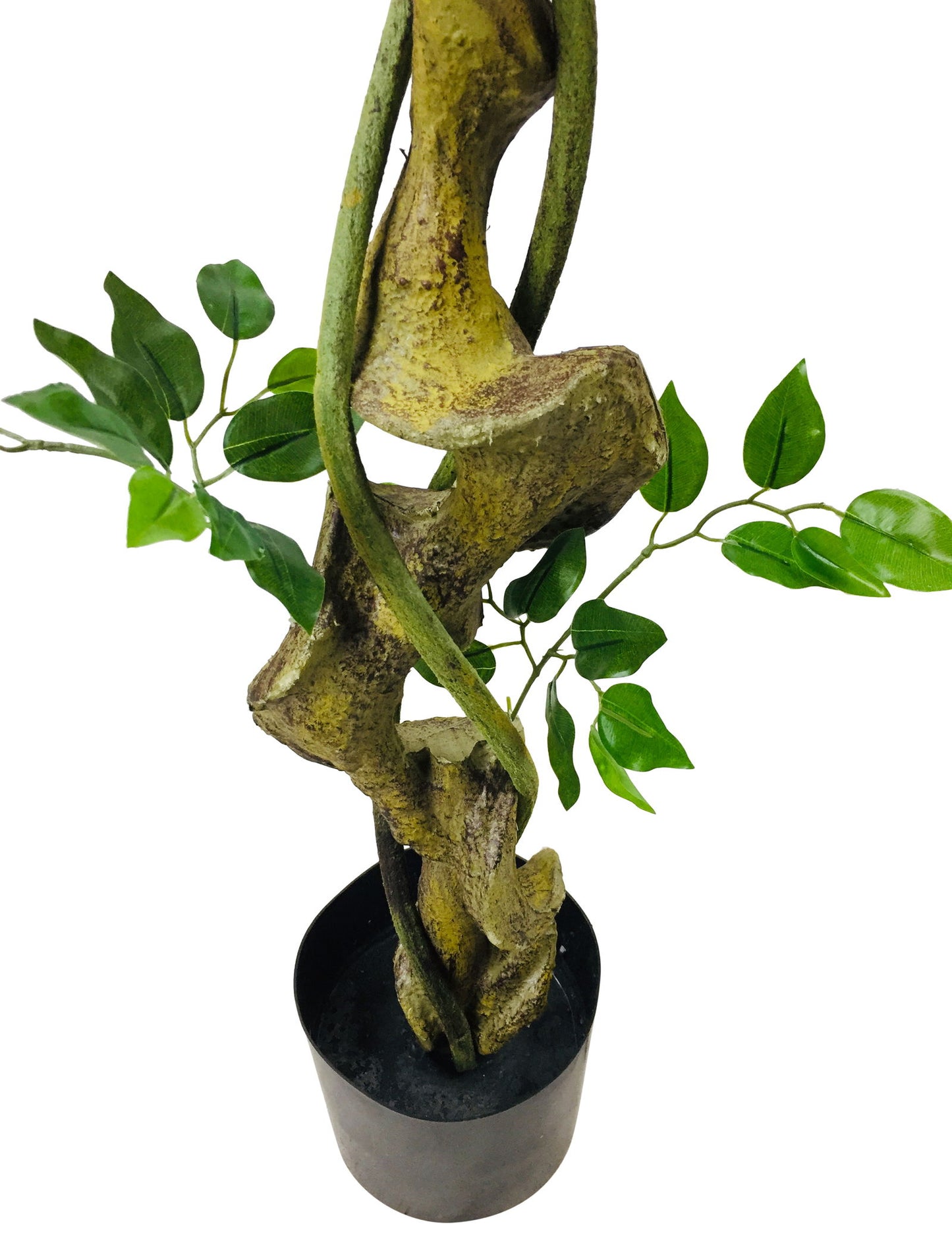 Large Artificial Ficus Tree With Twisted Trunk