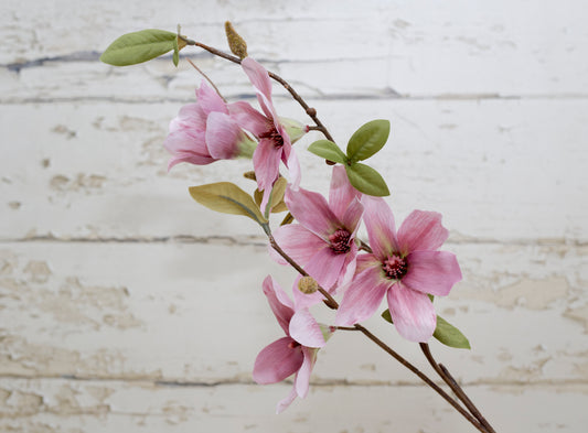 Magnolia & Hydrangea Bouquet