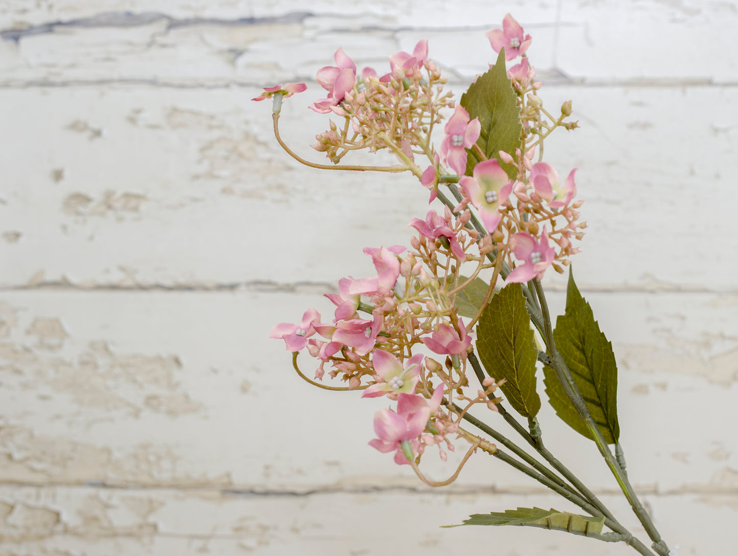 Wicker Woodland Blush Collection