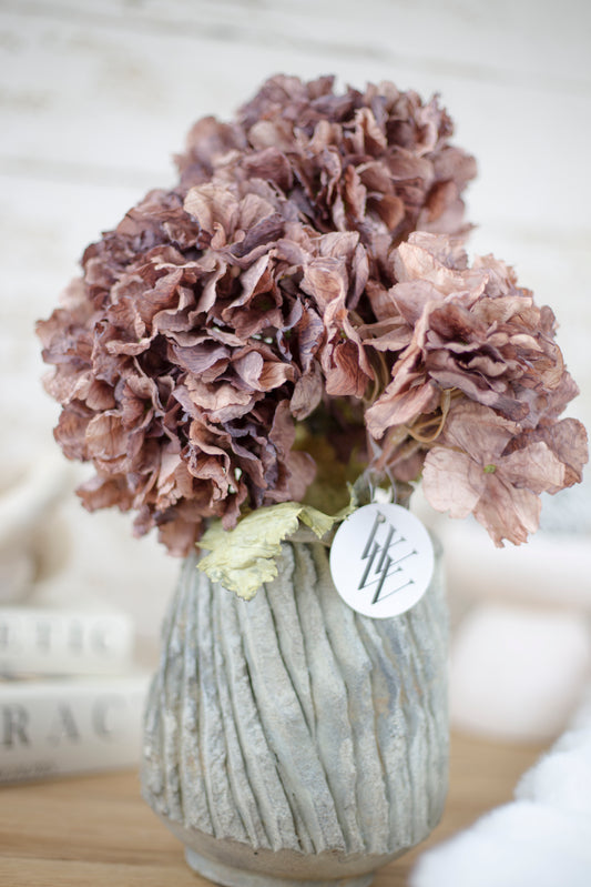 Woodland Hydrangea Collection