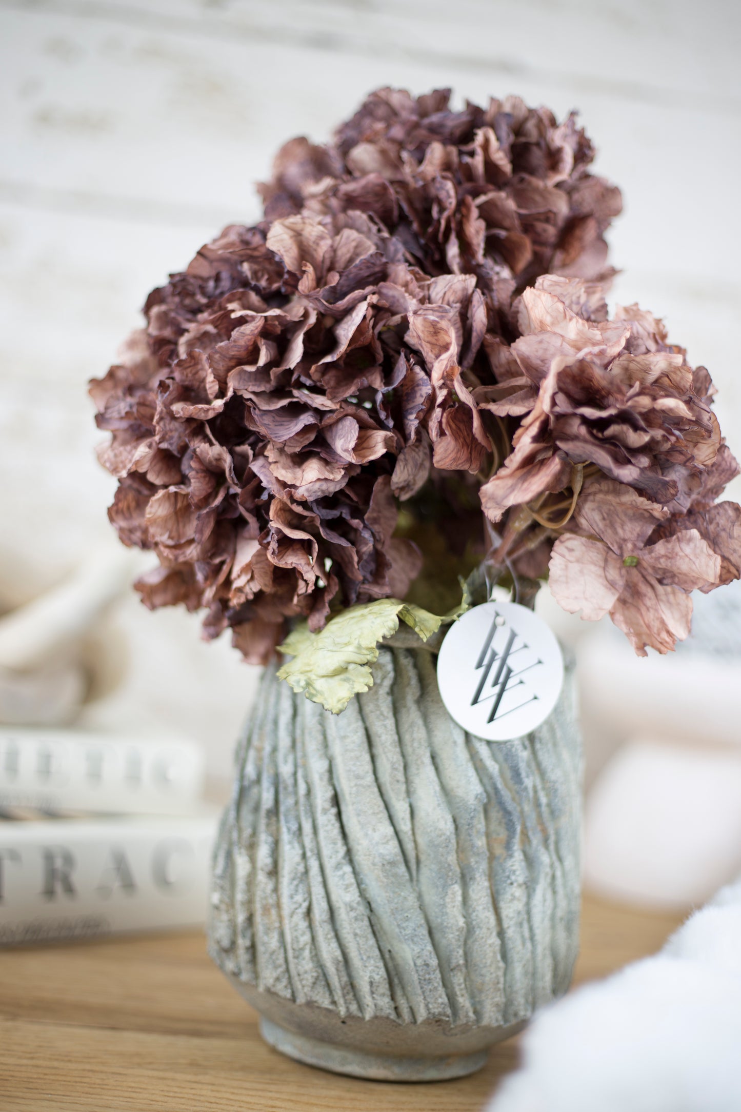 Woodland Hydrangea Collection