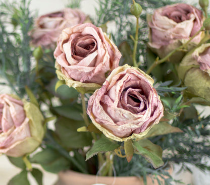 Desert Rose & Herb Collection