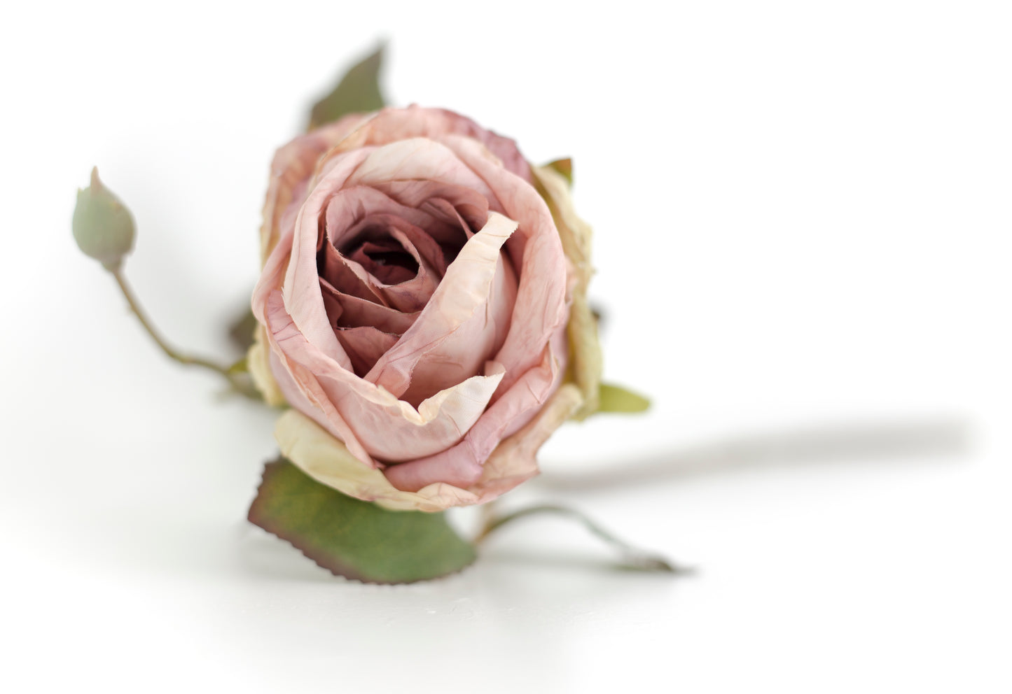 Dusky Rose & Bay Leaf Bouquet