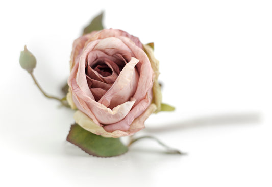 Dry Look Dusky Pink Roses Collection