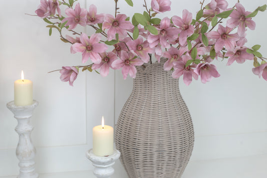 Magnolia Stems