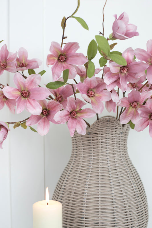 Magnolia Stems