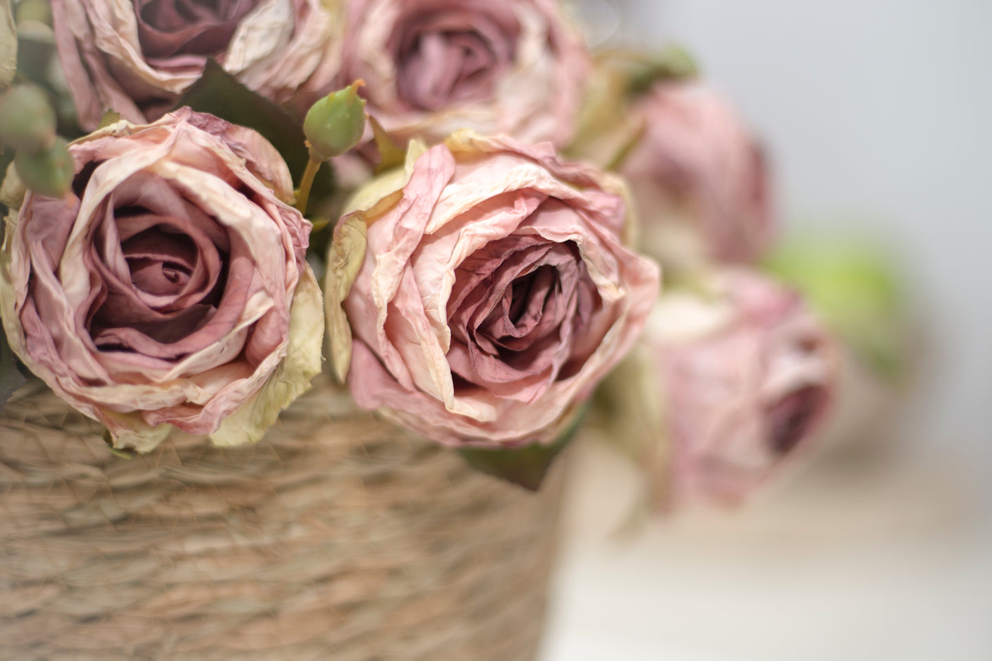 Dusky Pink Dry Look Roses
