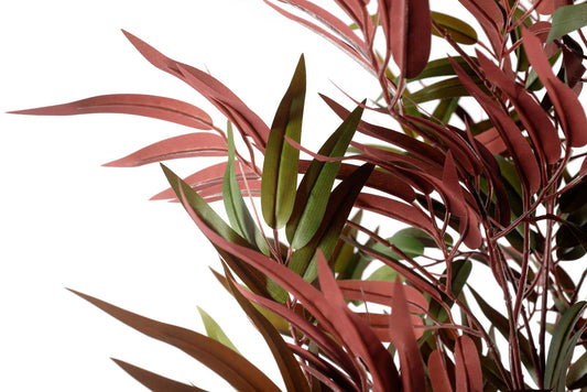 Vibrant Bamboo Tree