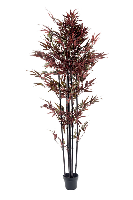 Vibrant Bamboo Tree