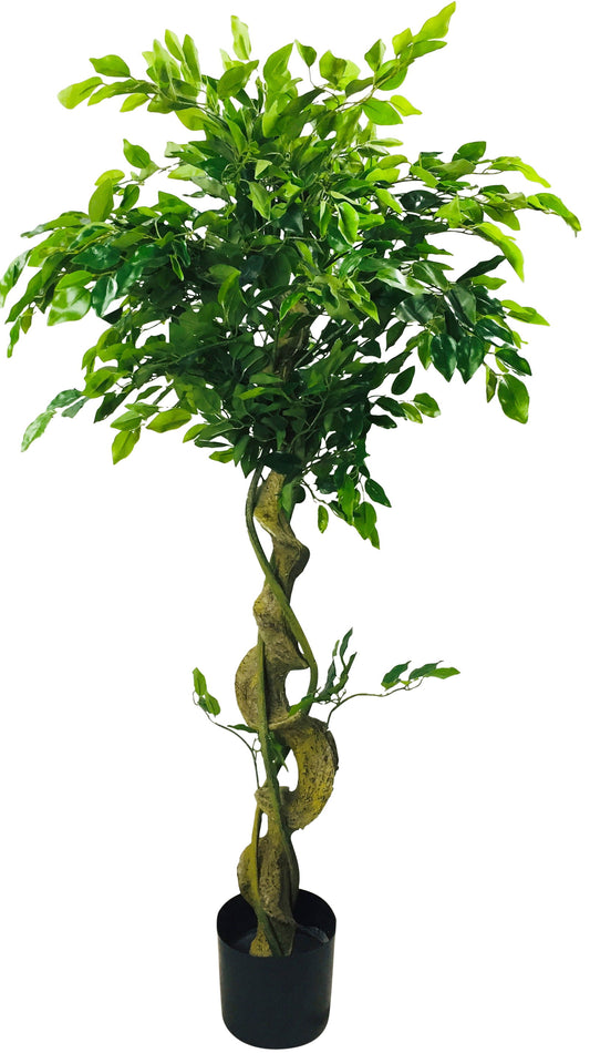 Large Artificial Ficus Tree With Twisted Trunk
