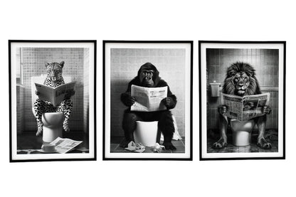 Set of 3 Animal's on the Toilet Framed Canvas Large